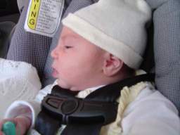 Dsc01613_small.JPG