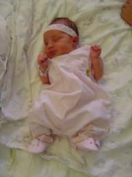 DSC01555_small.JPG