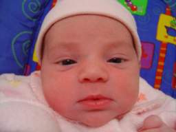 DSC01668_small.JPG