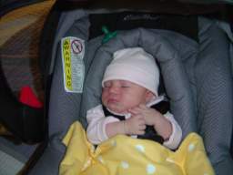 DSC01677_small.JPG