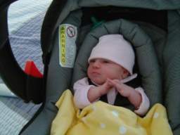 DSC01678_small.JPG