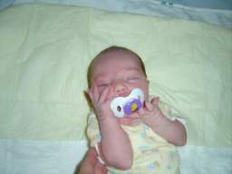 DSC01684_small.JPG