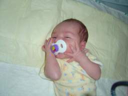 DSC01685_small.JPG